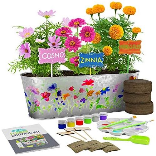  [아마존베스트]Dan&Darci Paint & Plant Flower Growing Kit - Grow Cosmos, Zinnia, Marigold Flowers : Includes Everything Needed to Paint and Grow - Great Gift for Children STEM