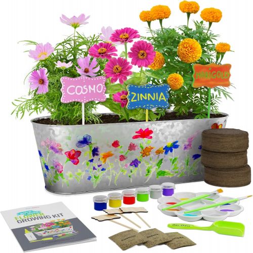  [아마존베스트]Dan&Darci Paint & Plant Flower Growing Kit - Grow Cosmos, Zinnia, Marigold Flowers : Includes Everything Needed to Paint and Grow - Great Gift for Children STEM