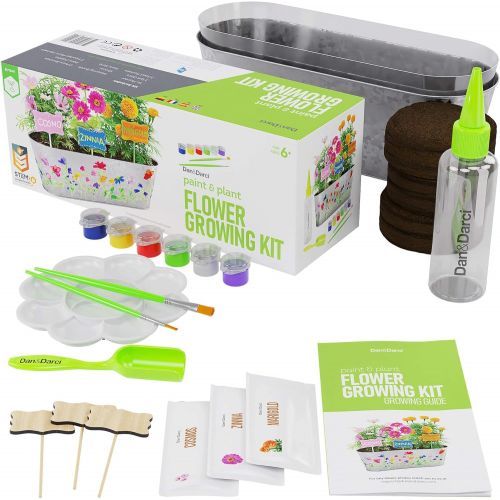  [아마존베스트]Dan&Darci Paint & Plant Flower Growing Kit - Grow Cosmos, Zinnia, Marigold Flowers : Includes Everything Needed to Paint and Grow - Great Gift for Children STEM