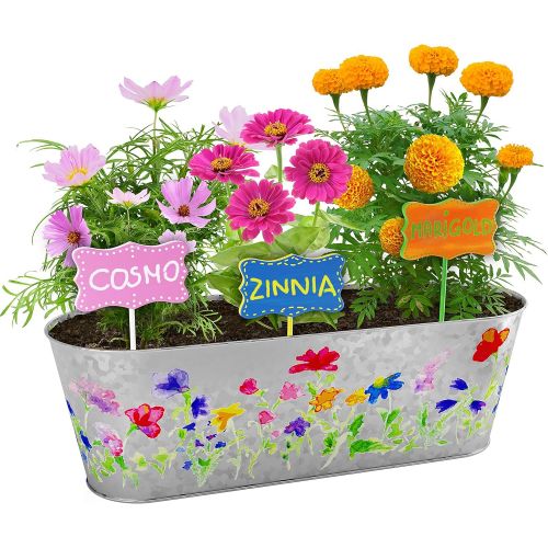  [아마존베스트]Dan&Darci Paint & Plant Flower Growing Kit - Grow Cosmos, Zinnia, Marigold Flowers : Includes Everything Needed to Paint and Grow - Great Gift for Children STEM
