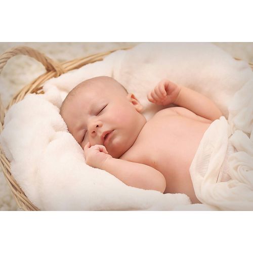  Dandelion Diapers Biodegradable and Flushable Natural Diaper Liners, 100% Viscose Made From Bamboo, 200 Sheets