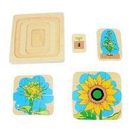 Danni Montessori Wood Children Plant Education Toy Baby Toddler Life Cycle of Sunflower Puzzles Jingsaw Preschool Brinquedos Juguets