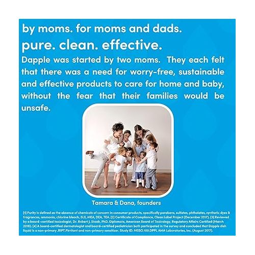  Dapple Baby, Bottle and Dish Soap Dish Liquid Plant Based Hypoallergenic 1 Pump Included, Packaging May Vary, Fragrance Free, 16.9 Fl Oz (Pack of 3)