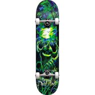 Darkstar Skateboards Woods Green/Blue Complete Skateboard First Push - 8.12 x 31.7