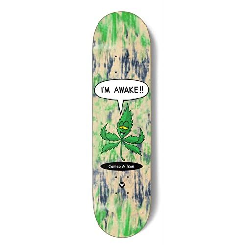  Darkstar Skateboard Deck Wilson Awake R7 8.25 x 32