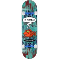 Darkstar Skateboard Assembly Bachinsky Awake R7 8.125 x 32 Complete