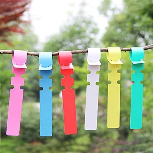  [아마존베스트]Dasongff Pack of 100 Plant Labels Plastic Plant Stakes Hanging 20 x 2 cm Coloured Plastic Plant Signs for Labelling Plant Labels Wrap Tree Labels Plant Stake, a