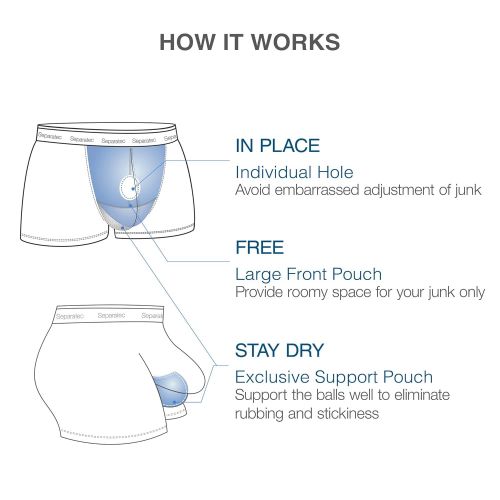  David+Archy David Archy Mens 4 Pack Micro Modal Separate Pouch Briefs with Fly