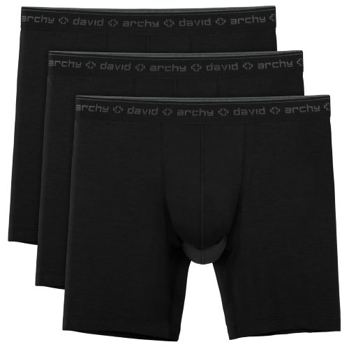  David+Archy David Archy Mens 3 Pack Underwear Micro Modal Separate Pouches Boxer Briefs with Fly