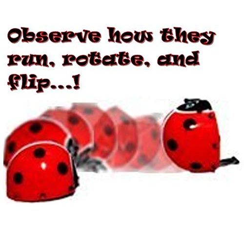  Dazzling toys Dazzling Toys Flipping Wind-up Lady Bugs - 12 Pack - Bulk. Great for parties and Favor bags