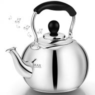 [아마존베스트]DclobTop Stove Top Whistling Tea Kettle 2.5 Quart Classic teapot appearance Culinary Grade Stainless Steel Teapot Composite process bottom