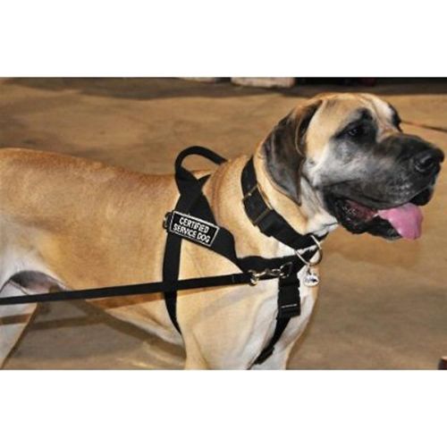  Dean & Tyler D&T UNIVERSAL CERTSERDOG BK-XS DT Universal No Pull Dog Harness, Certified Service Dog, X-Small, Fits Girth, 53cm to 64cm, Black