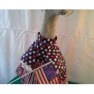 DecoDressupsGeese Betsy Ross Dress for Large Goose