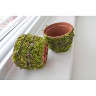 /DecorNatural Moss, flowerpots, rustic decor, home decoration, plant flower pots, moss decor