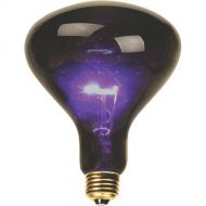 DeeJay LED B100 Mushroom-Shaped Purple Incandescent Bulb (100W)