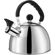 Deeoutlife Tea Kettle Stovetop 2.1 Quart Mirror Finished Stainless Steel Whistling Teakettle For Stovetop Tea Pot with Folding Cool Grip Ergonomic Handle Small Tea Pot Water Boiler for Home K