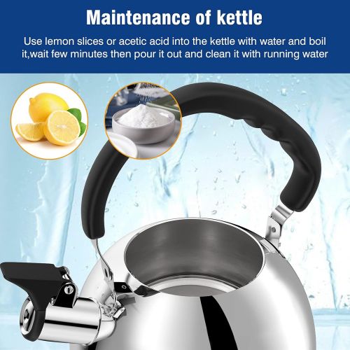  Deeoutlife Tea Kettle Stovetop 2.1 Quart Mirror Finished Stainless Steel Whistling Teakettle For Stovetop Tea Pot with Folding Cool Grip Ergonomic Handle Small Tea Pot Water Boiler for Home K