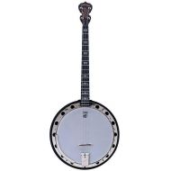 Deering Artisan Goodtime Two 19-fret Tenor Banjo - Dark Red Mahogany Satin