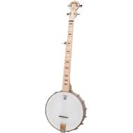 [아마존베스트]Deering Goodtime 5-String Banjo