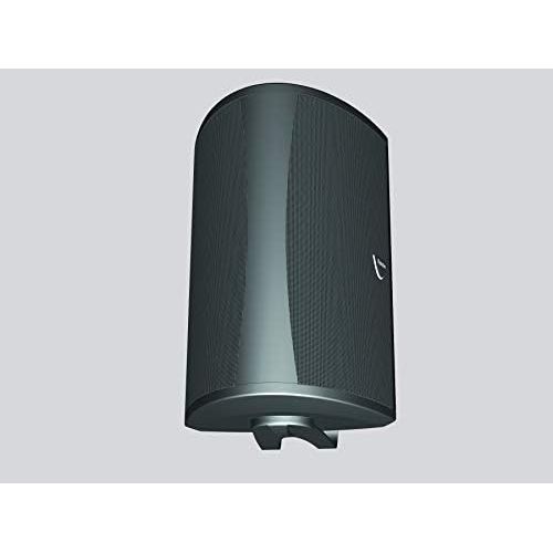  [아마존베스트]Definitive Technology AW5500 Outdoor Speaker - 5.25-Inch Woofer | 175 Watts | High Performance | Built for Extreme Weather | Single, Black