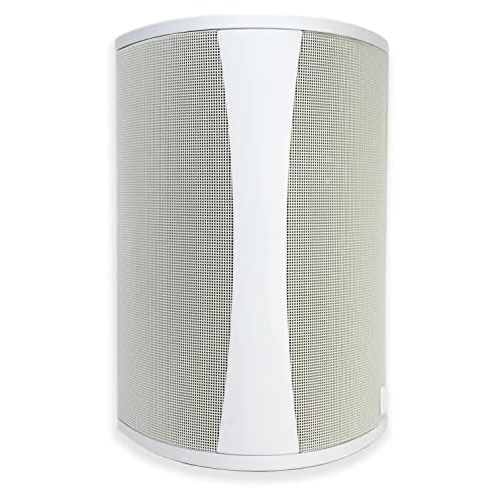  Definitive Technology AW 5500 All Weather Speaker with Bracket - Each (White)
