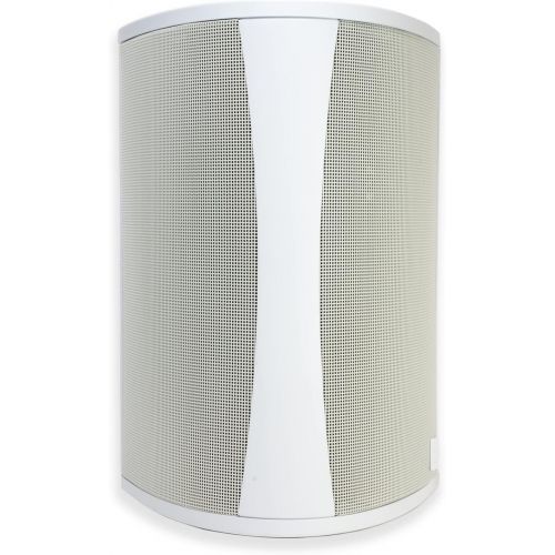  Definitive Technology AW 5500 All Weather Speaker with Bracket - Each (White)