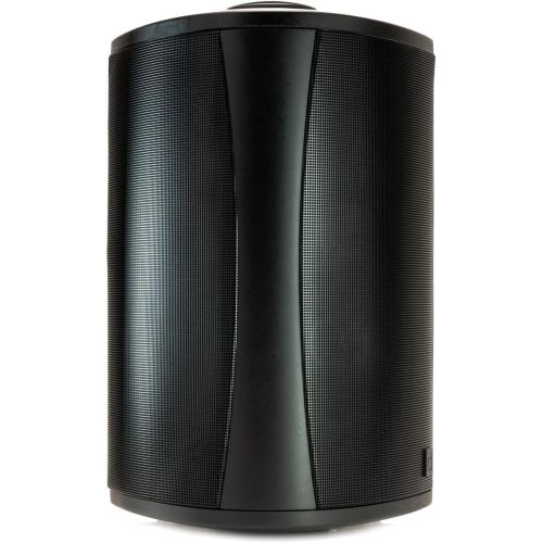  Definitive Technology AW 6500 All Weather Speaker with Bracket - Each (Black)