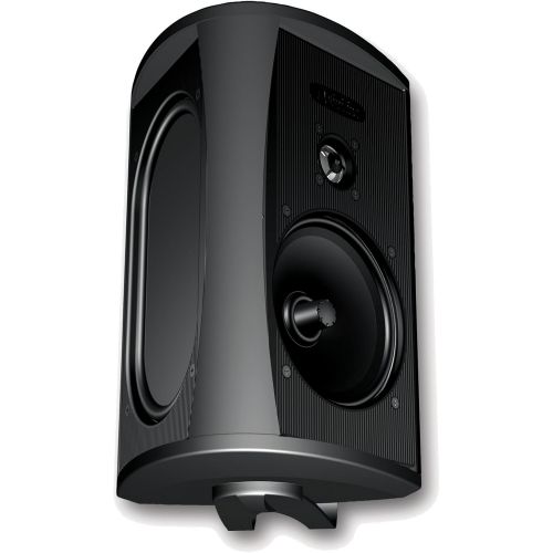  Definitive Technology AW 6500 Outdoor Speaker (Single, Black)