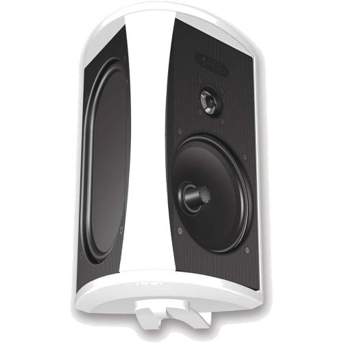  Definitive Technology AW 6500 Outdoor Speaker (Single, Black)