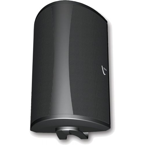  Definitive Technology AW 6500 Outdoor Speaker (Single, Black)