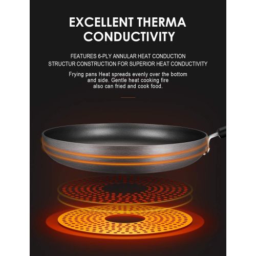  [아마존베스트]Frying Pan, Deik 11” Hard-Anodized Aluminum Nonstick Pans, Omelette Fry Pan, 100% APEO & PFOA-Free Healthy Xylan Non-Stick Coating, Riveted Handle, Dishwasher Safe, California Desi