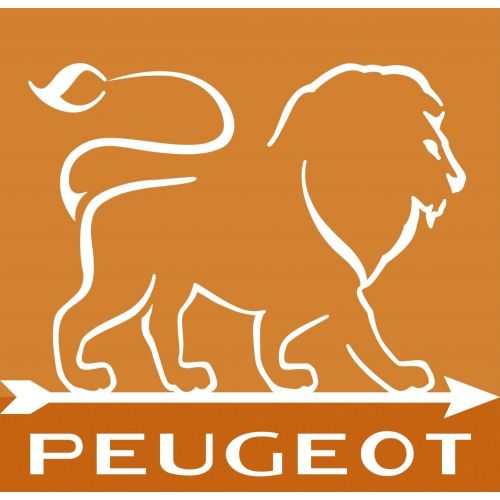  Dekomiro Peugeot 23409 Paris Pfeffermuehle mit u-Select | Natur 30 cm Geschenkset mit 20 gr. Tellicherry-Chili-Pfeffer