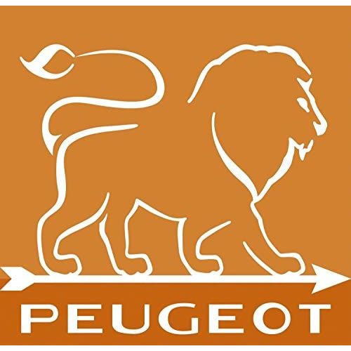  Peugeot Set Paris Pfeffermuehle und Salzmuehle | schoko natur 40 + 30 cm | Dekomiro Geschenkset mit 100 gr. Salz