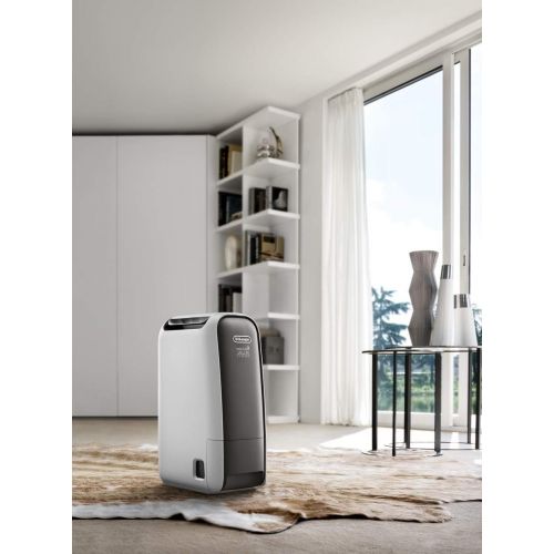 드롱기 De’Longhi DeLonghi Dehumidifier, Silver/White