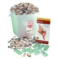 Delta Education 750-5013 Hands-On Shells Exploration Kit