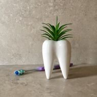 /DentalDecor Tooth Vase with Faux Succulent