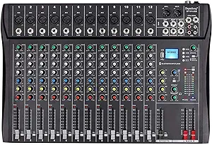 Depusheng DT12 Studio Audio Mixer 12-Channel DJ Sound Controller Interface w/USB Drive for Computer Recording Input, XLR Microphone Jack, 48V Power, RCA Input/Output for Professional and Beginners