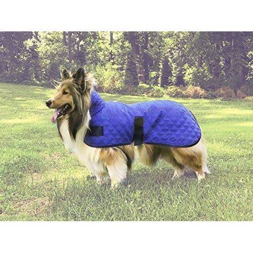  Derby Originals Hydro Cooling Dog Jacket Vest, Reflects Heat & Keeps Dogs Cool for Hours