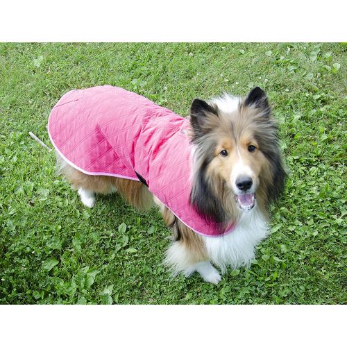  Derby Originals Hydro Cooling Dog Jacket Vest, Reflects Heat & Keeps Dogs Cool for Hours