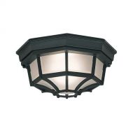 Designers Fountain 2067-BK Builder Cast Aluminum Family 1-Light Exterior Flush Mount, Black Finish with Frosted Glass