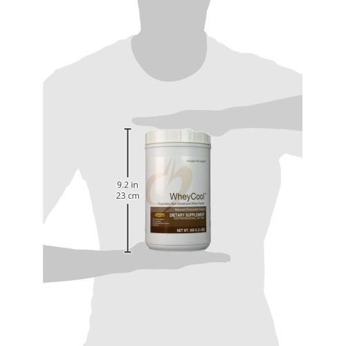  Designs for health Designs for Health - Whey Cool Chocolate - Grass Fed Protein, 2 lbs