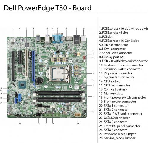 델 Dell PowerEdge T30 Tower Server - Intel Xeon E3-1225 v5 Quad-Core Processor up to 3.7 GHz, 32GB DDR4 Memory, 4TB SATA Hard Drive, Intel HD Graphics P530, DVD Burner, No Operating S