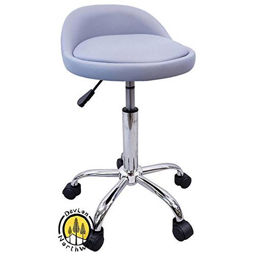  DevLon NorthWest Salon Stool with Back Rest Saddle Hydraulic Spa Stool (Light GrayFBA)