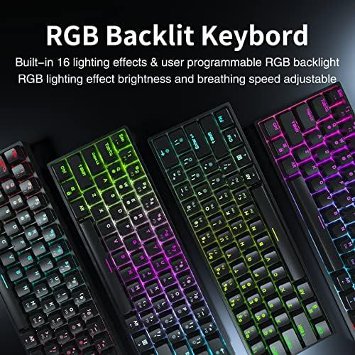  [아마존베스트]Dierya DK61E 60 % Mechanical Gaming Keyboard, RGB Backlit Wired polybutylene terephthalate (PBT) Keyboard Cap Waterproof Hot-Swap Capable Compact Computer Keyboard with Programmabl