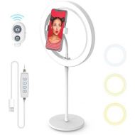 [아마존베스트]DIGIPOWER 10 inch ring light with stand, 3 lighting modes and 10 brightness levels, universal smartphone holder, wireless remote control.