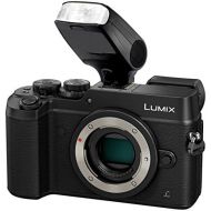 Digital Nc Leica D-LUX (Typ 109) Bounce, Swivel Head Compact Flash