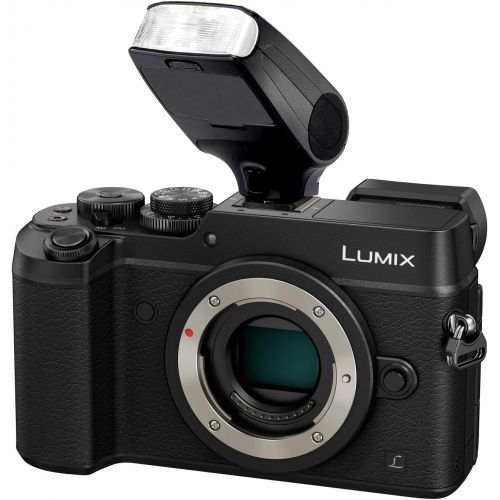  Digital Nc Leica D-LUX (Typ 109) Bounce, Swivel Head Compact Flash