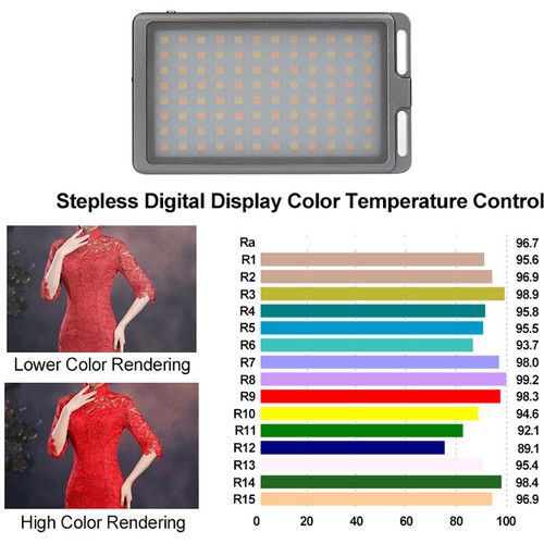  DigitalFoto Solution Limited LED Bi-Color Panel Light with Display Monitor