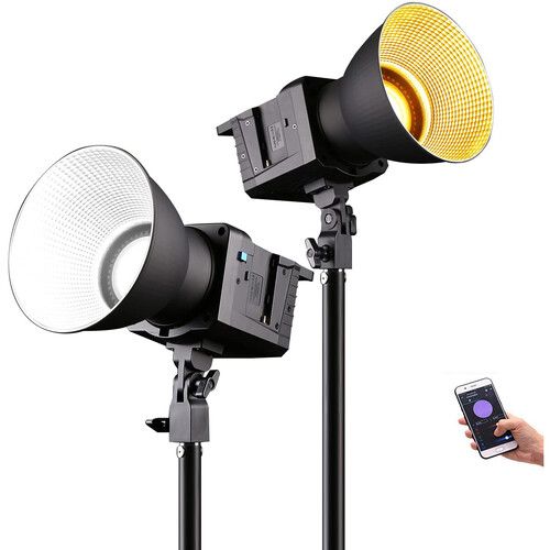  DigitalFoto Solution Limited P100 Bi-Color LED Monolight