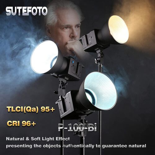  DigitalFoto Solution Limited P100 Bi-Color LED Monolight